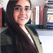 Profesor de Economía, Desarrollo Económico, Inglés y Administración Intercultural